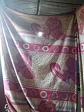 Bee-bgolden online show from 11, 1, 2026