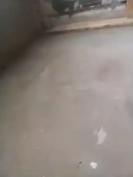 Snapshot of Lollittaxxxx2 chatting on 11, 11, 2025 Lollittaxxxx2 online show from 11, 11, 2025