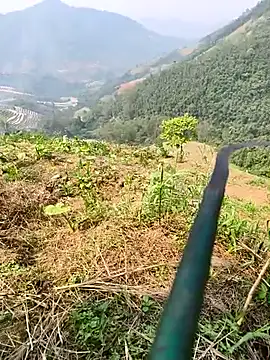 Lynly k2 online show from 8, 4, 2026