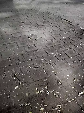 Javierba18301bak online show from 9, 1, 2026