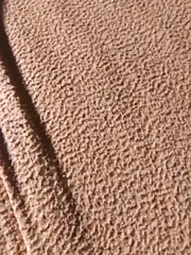 Snapshot of WillfulVideo chatting on 7, 2, 2026 WillfulVideo online show from 7, 2, 2026