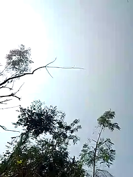 Anjali bady online show from 22, 11, 2025