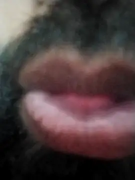 Snapshot of hyderabad_single chatting on 24, 11, 2025 hyderabad single online show from 24, 11, 2025