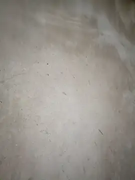 blonde blg online show from 14, 3, 2026