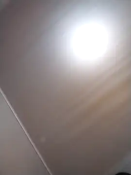 Tayanehot online show from 8, 4, 2026