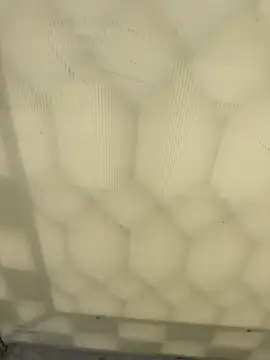 elqueteda lechita online show from 20, 4, 2026