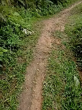 Cloud-wh online show from 24, 2, 2026