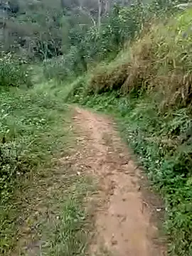 Cloud-wh online show from 5, 3, 2026