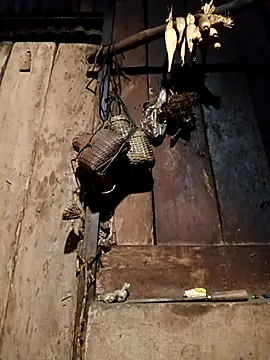 -Chua-90 online show from 9, 2, 2026