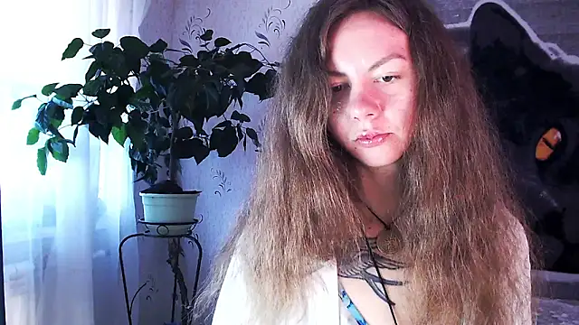 Personal Bulldozer online show from 22, 12, 2025