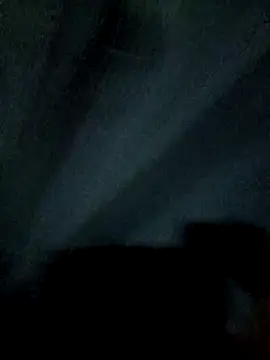 Snapshot of raju423204 chatting on 11, 2, 2026 raju423204 online show from 11, 2, 2026