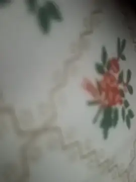 lusty daisy 01 online show from 26, 3, 2026