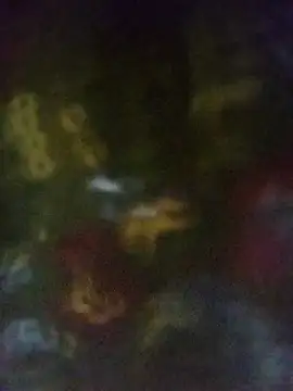 Disha Nur0 online show from 13, 3, 2026