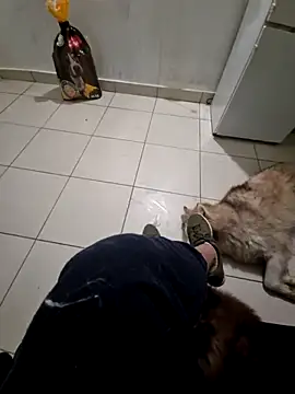 RITAEGIH online show from 2, 3, 2026