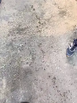 Playboy pune  online show from 19, 11, 2025