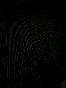 Playboy pune  online show from 25, 11, 2025