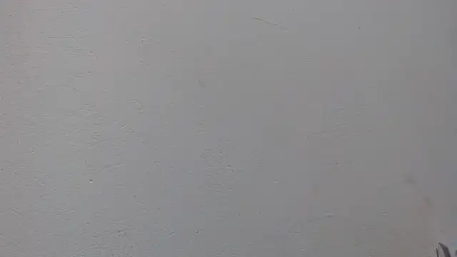 ebony cristal 1 online show from 20, 4, 2026