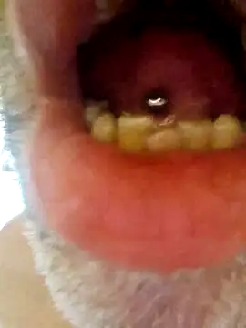 CDY74 online show from 28, 11, 2025