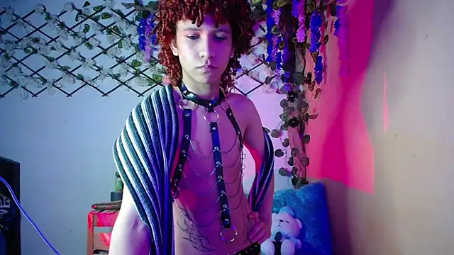 Beel zebu online show from 4, 12, 2025