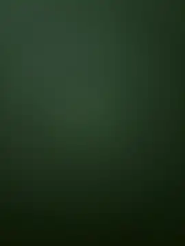 Snapshot of Spring-spring chatting on 1, 12, 2025 Spring-spring online show from 1, 12, 2025