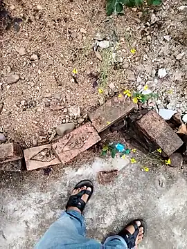 apka rockstarr online show from 8, 1, 2026