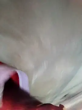 Snapshot of Minsexy66 chatting on 2, 12, 2025 Minsexy66 online show from 2, 12, 2025