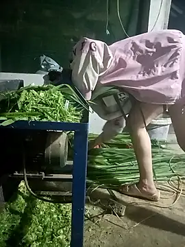 nangmo online show from 7, 3, 2026