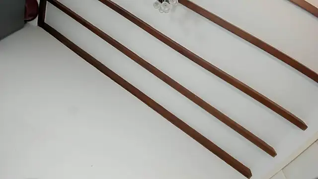 IsaSantoDomingo online show from 16, 1, 2026