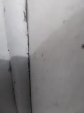 AdvancedRoster online show from 26, 4, 2026