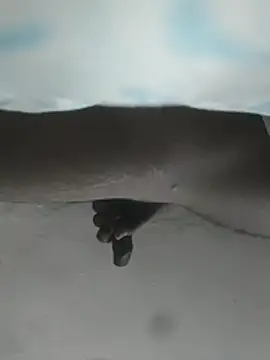 hunter379 online show from 3, 12, 2025