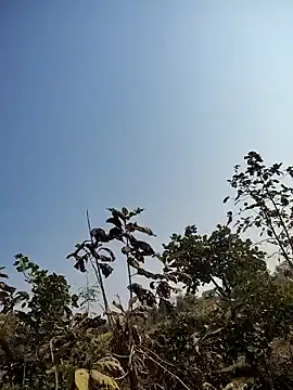 88zaifkhan88 online show from 14, 1, 2026