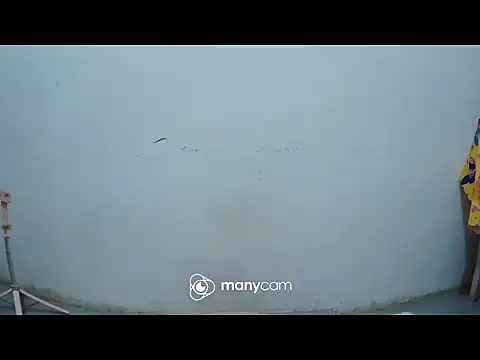 hottiemama69 online show from 21, 3, 2026