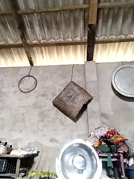 Snapshot of LeoPet2x chatting on 16, 3, 2026 LeoPet2x online show from 16, 3, 2026