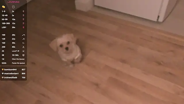 Snapshot of MePretty chatting on 23, 3, 2025 MePretty online show from 23, 3, 2025