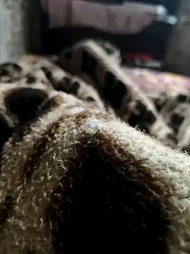 Snapshot of Mahi-Aman chatting on 5, 12, 2025 Mahi-Aman online show from 5, 12, 2025