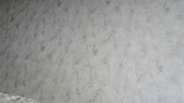 Snapshot of AliceWonderLure chatting on 3, 12, 2025 AliceWonderLure online show from 3, 12, 2025