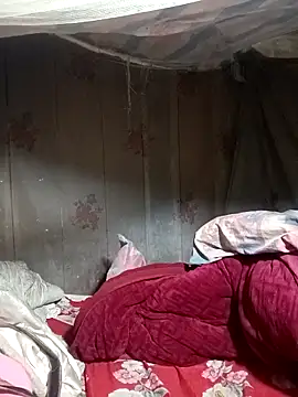 ava-dellght online show from 14, 1, 2026