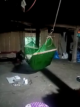 ava-dellght online show from 9, 4, 2026