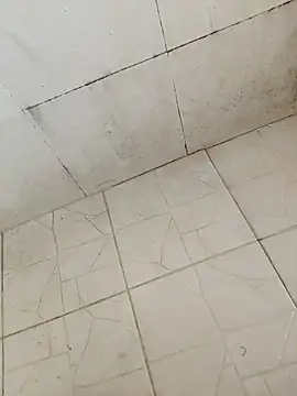 BoyMuslimTelugu online show from 17, 12, 2025