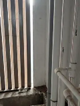 boyfromMum bai online show from 16, 1, 2026