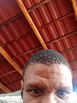 Snapshot of msindo chatting on 9, 4, 2026 msindo online show from 9, 4, 2026