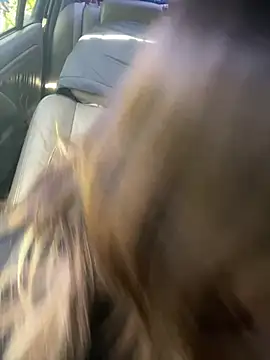 loxzjr online show from 14, 1, 2026