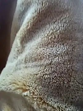 AR7v online show from 15, 12, 2025