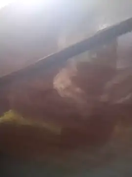 neko-nancy online show from 13, 2, 2026