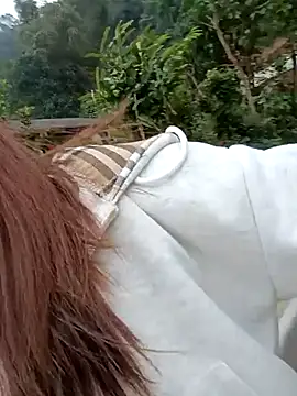 Chinchink2 online show from 15, 12, 2025