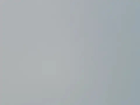 Fish 136 online show from 1, 4, 2026