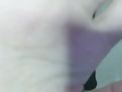 Snapshot of Fish_136 chatting on 3, 6, 2026 Fish 136 online show from 3, 6, 2026