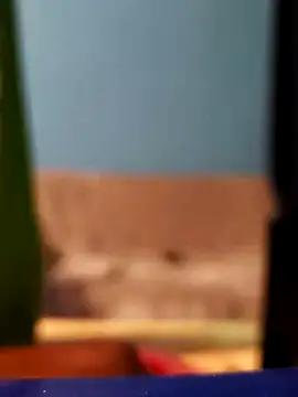 Roberto772 online show from 26, 2, 2026