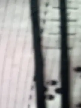 teena-11 online show from 23, 3, 2026