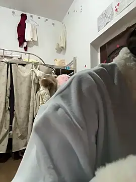 Kawaii-P online show from 19, 12, 2025